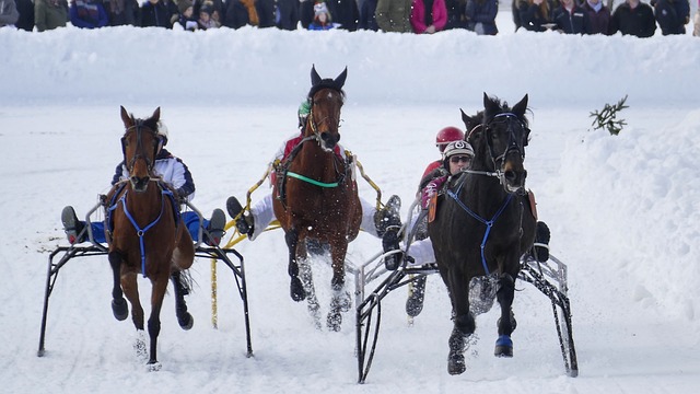 比赛集锦：西班牙4-0格鲁吉亚