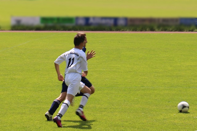 维尼修斯