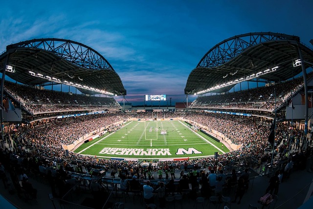 在球場上 在球場上