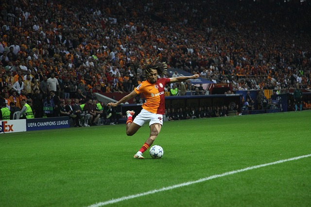 不仅限于守 不仅限于守