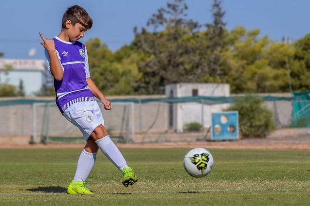 灰熊管理层 灰熊管理层