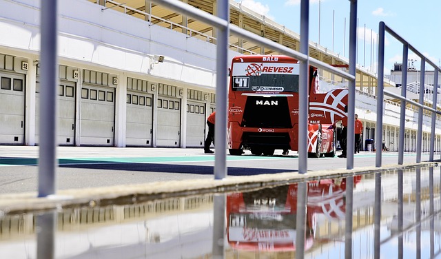 看成是天生 看成是天生