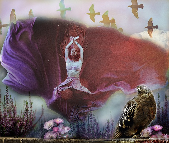 芝加哥公牛 芝加哥公牛