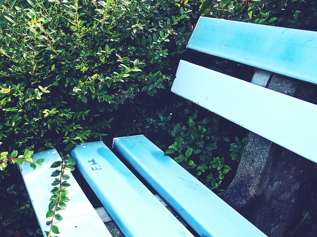 篮板英雄的 篮板英雄的